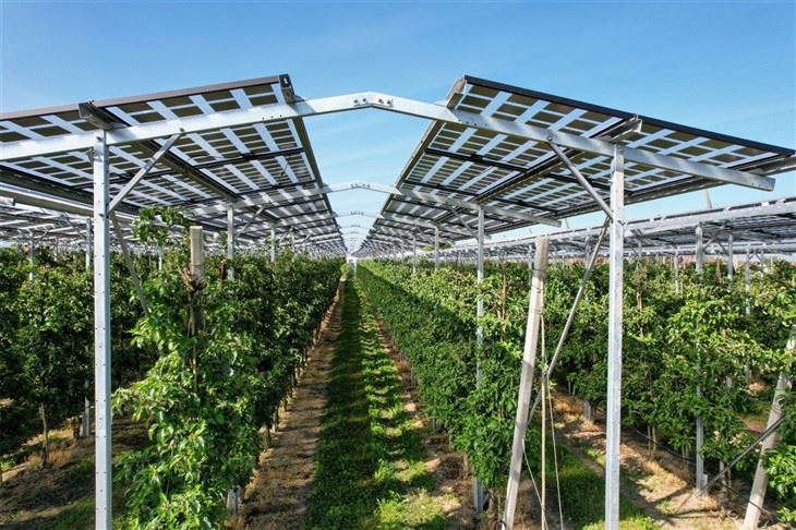 Large-Scale Solar Farm Mounting: Corrosion-Resistant Ground Racking Kit suppliers