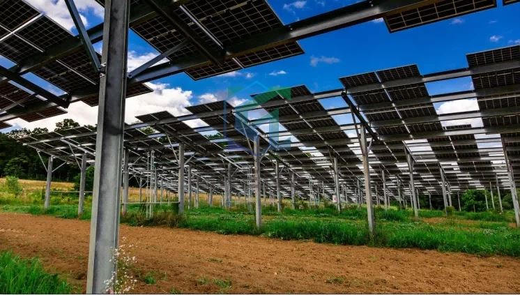 Solar Farm PV lauksaimniecības augu montāžas sistēma