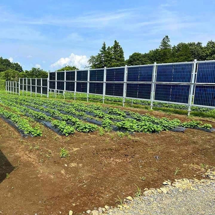 Solar Foundation Screw Post suppliers
